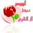 ابوبدر