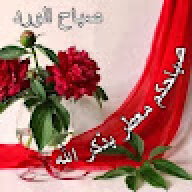 Hussein_helmy2020