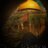 fathy basha