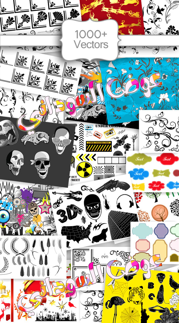 vectors.png