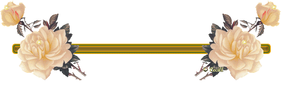 160959342102098.gif