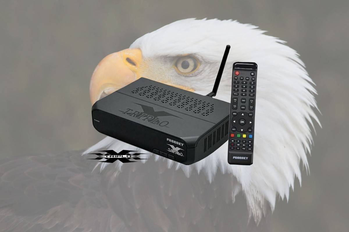 freesky.online