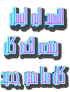 161723030260821.gif