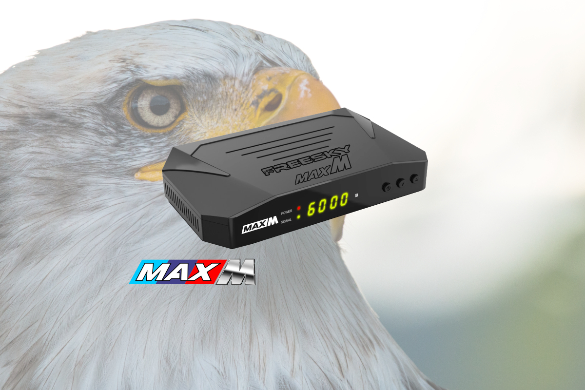 freesky.online